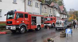 Fotka nr 4 z 10