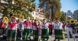 zdjęcie nr 13