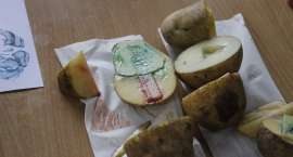 zdjęcie nr 52