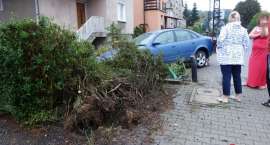 zdjęcie nr 7