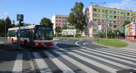 Fotka nr 5 z 19