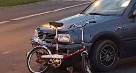 Fotka nr 2 z 8