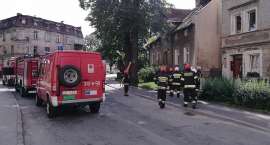 Fotka nr 5 z 8