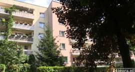 zdjęcie nr 8