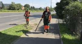 zdjęcie nr 11