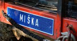 Fotka nr 3 z 50
