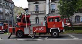 Fotka nr 4 z 19