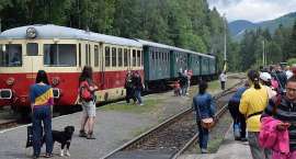 zdjęcie nr 27