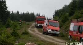 Fotka nr 5 z 7