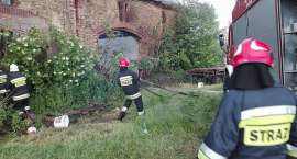 Fotka nr 3 z 13