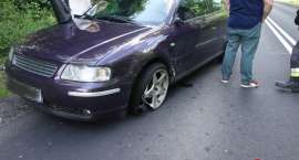 Fotka nr 2 z 4