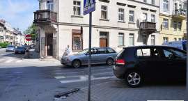 zdjęcie nr 10