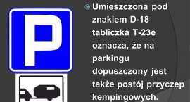 zdjęcie nr 10