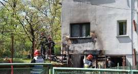 zdjęcie nr 8