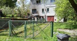 Fotka nr 5 z 15