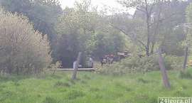 Fotka nr 2 z 3