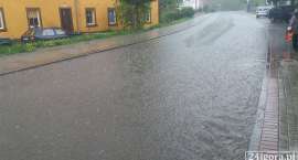 zdjęcie nr 8