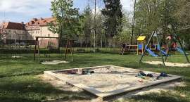 zdjęcie nr 8