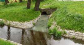 Fotka nr 2 z 6