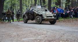 zdjęcie nr 7