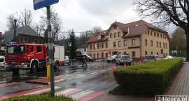 zdjęcie nr 8