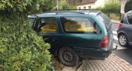 Fotka nr 1 z 4