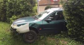 Fotka nr 2 z 4
