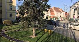 zdjęcie nr 28