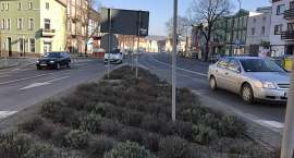 zdjęcie nr 31