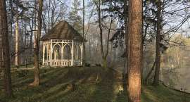 zdjęcie nr 7