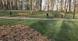 zdjęcie nr 11