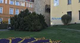 zdjęcie nr 26