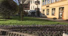 zdjęcie nr 32
