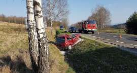 Fotka nr 3 z 13