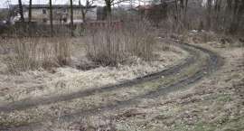 zdjęcie nr 19