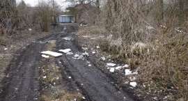 zdjęcie nr 10