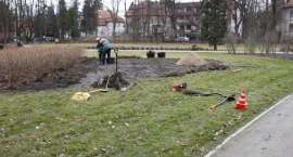 zdjęcie nr 9