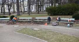 zdjęcie nr 7