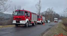 Fotka nr 2 z 7