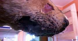 zdjęcie nr 10