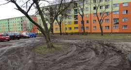 zdjęcie nr 9