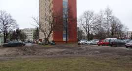 zdjęcie nr 11