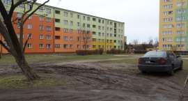 zdjęcie nr 8