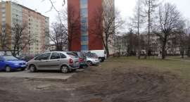 zdjęcie nr 13