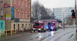 Fotka nr 1 z 7