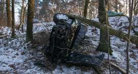 Fotka nr 2 z 4