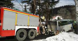 Fotka nr 5 z 6
