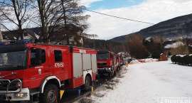 Fotka nr 5 z 8