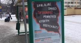 Fotka nr 1 z 2