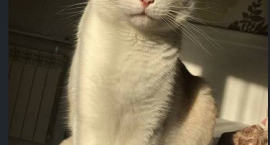 Fotka nr 0 z 3